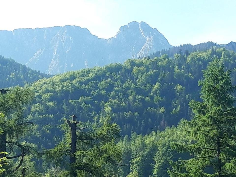 Kwatery Prywatne-Romanowka Zakopane Eksteriør bilde