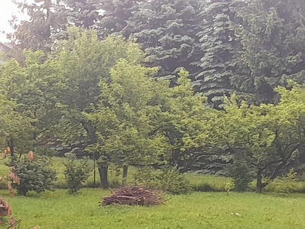 Kwatery Prywatne-Romanowka Zakopane Eksteriør bilde