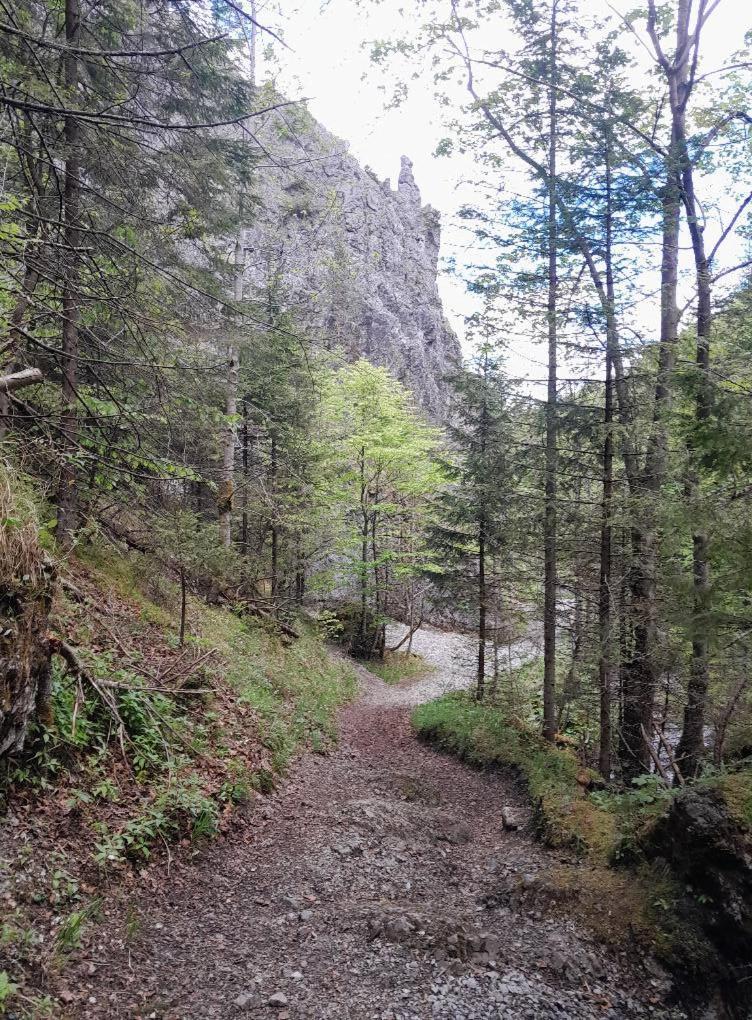 Kwatery Prywatne-Romanowka Zakopane Eksteriør bilde