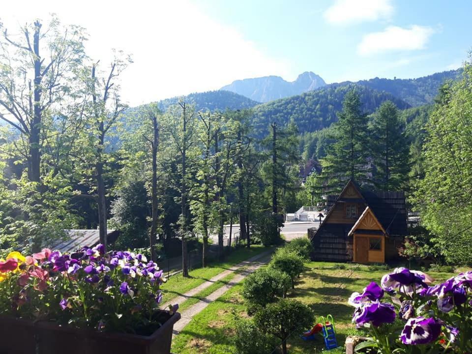 Kwatery Prywatne-Romanowka Zakopane Eksteriør bilde